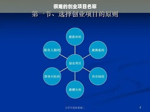 很难的创业项目名称