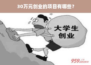 30万元创业的项目有哪些？