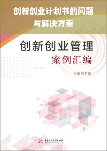 创新创业计划书的问题与解决方案