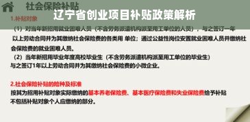 辽宁省创业项目补贴政策解析