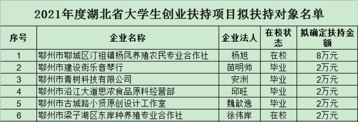 黄石大学生创业项目一览