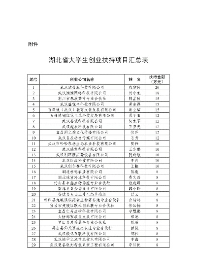 黄石大学生创业项目一览