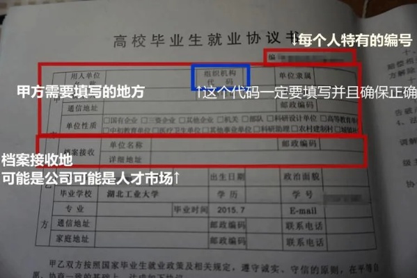 档案里的就业合同是什么 就业协议的档案去向怎么写