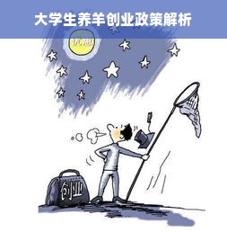 大学生养羊创业政策解析