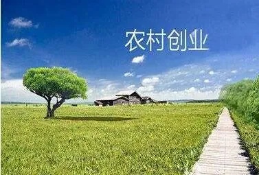 农村创业的十大优势有哪些？