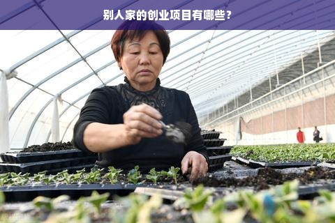 别人家的创业项目有哪些？