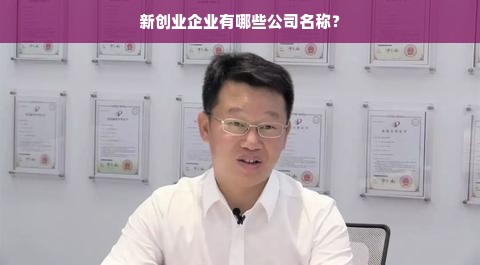 新创业企业有哪些公司名称？