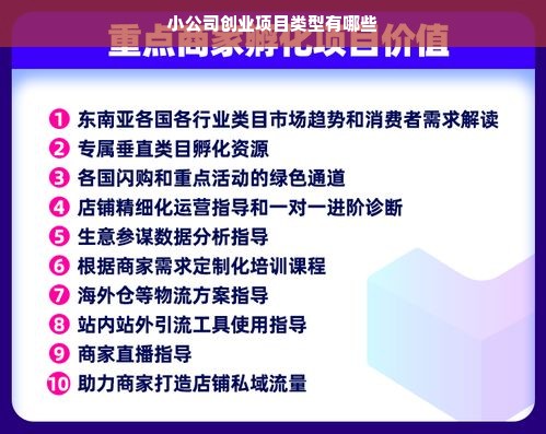 小公司创业项目类型有哪些