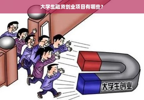 大学生融资创业项目有哪些？