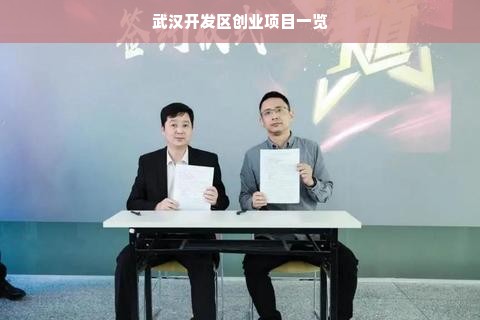 武汉开发区创业项目一览