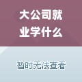 大公司就业学什么专业好 大公司企业做什么工作的