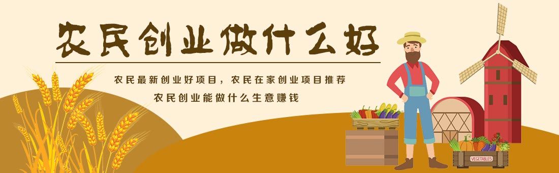 农民创业的四种方式