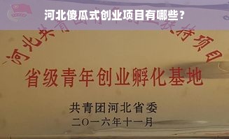 河北傻瓜式创业项目有哪些？