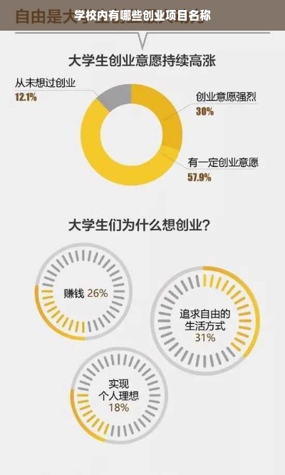 学校内有哪些创业项目名称