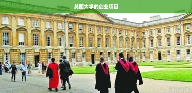 英国大学的创业项目