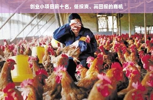 创业小项目前十名，低投资、高回报的商机