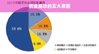 创业成功的五大原因