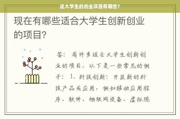 送大学生的创业项目有哪些？