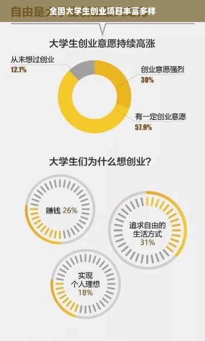 全国大学生创业项目丰富多样