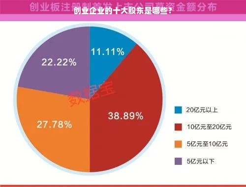 创业企业的十大股东是哪些？