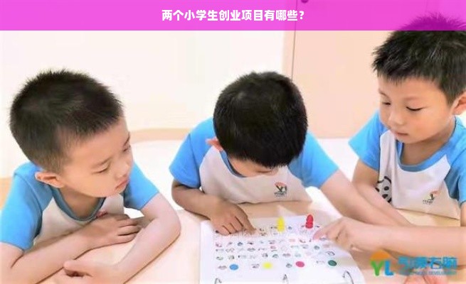 两个小学生创业项目有哪些？