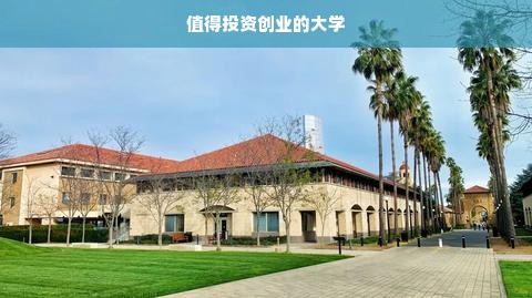 值得投资创业的大学