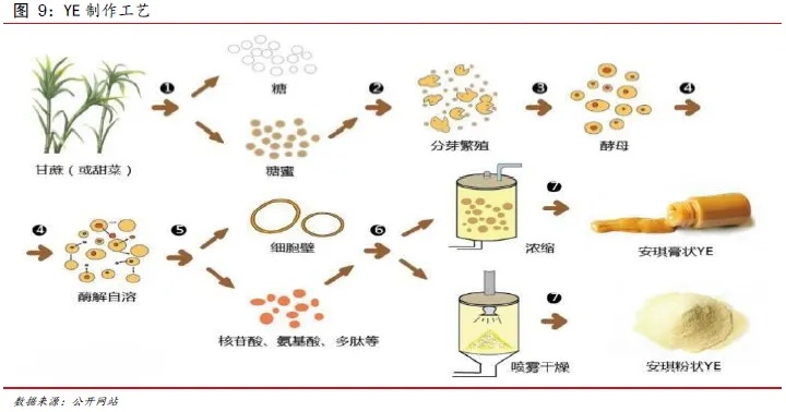 创业酵母创业的条件有哪些