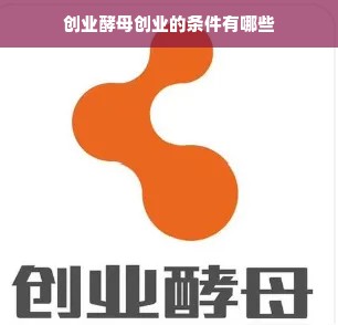 创业酵母创业的条件有哪些