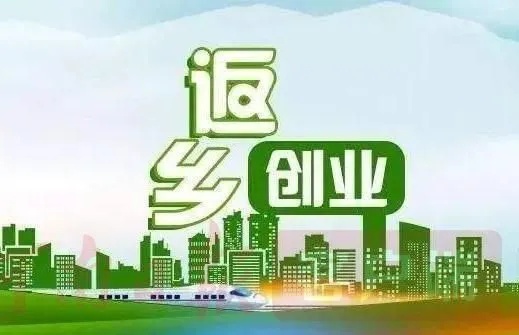 返乡创业，共创未来