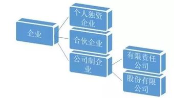 创业单位种类丰富，选择多样