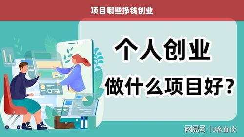 项目哪些挣钱创业