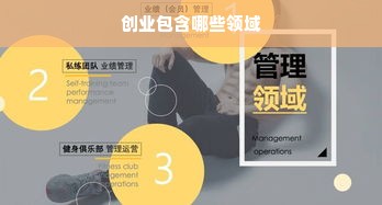 创业包含哪些领域