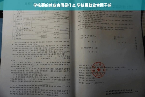 学校要的就业合同是什么 学校要就业合同干嘛