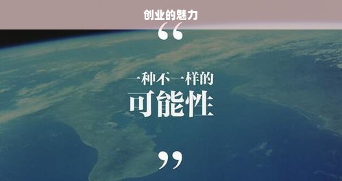 创业的魅力