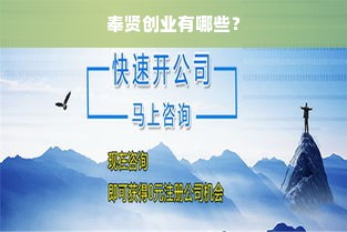 奉贤创业有哪些？