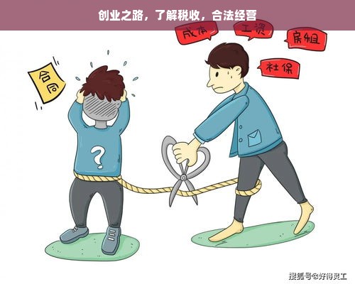 创业之路，了解税收，合法经营