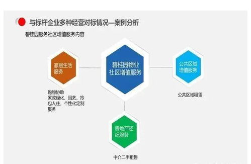 创业公司，类型、特点与运营模式