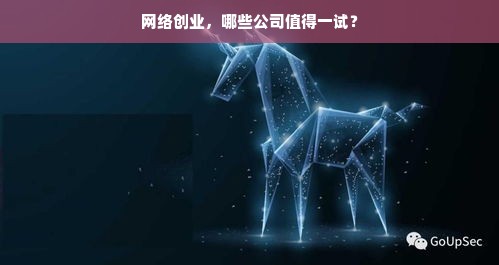 网络创业，哪些公司值得一试？