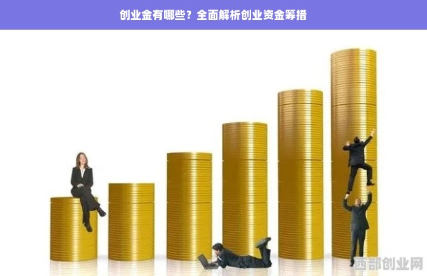 创业金有哪些？全面解析创业资金筹措