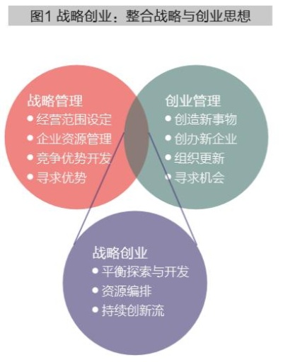 创业企业，类型、优势与策略