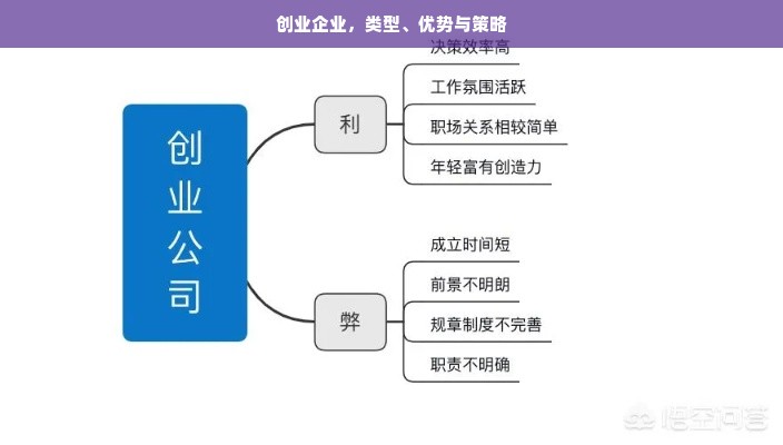 创业企业，类型、优势与策略