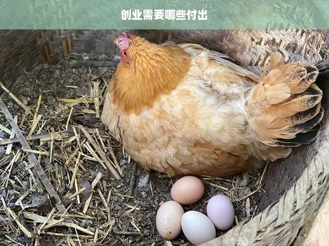 创业需要哪些付出