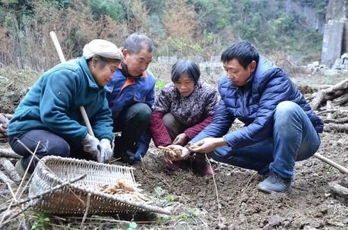 山区创业，无限可能等待发掘