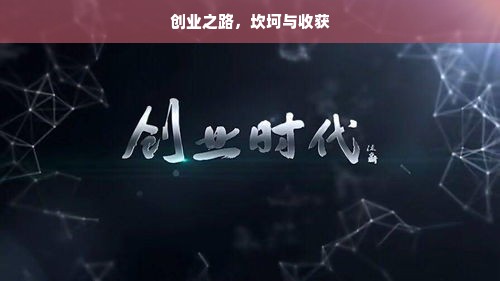 创业之路，坎坷与收获