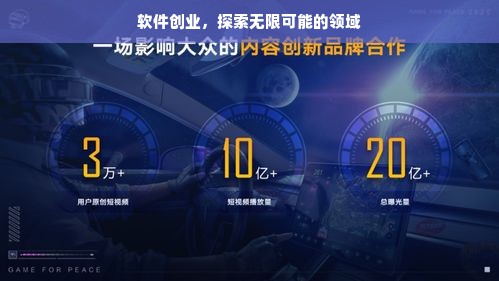 软件创业，探索无限可能的领域