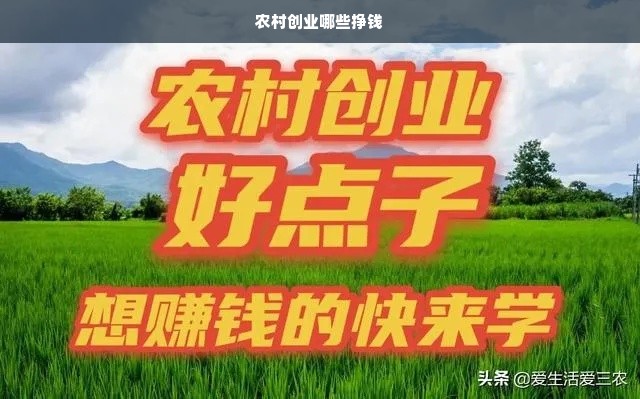 农村创业哪些挣钱