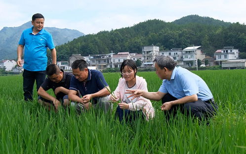 山村创业有哪些？