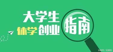 创业需哪些知识