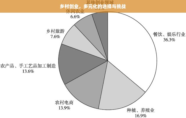 乡村创业，多元化的选择与挑战