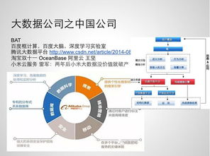 创业数据资源的重要性及其利用